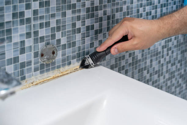 Best Emergency Mold Remediation in Thurmont, MD