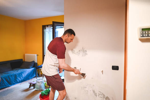 Best DIY Mold Remediation Support Services in Thurmont, MD